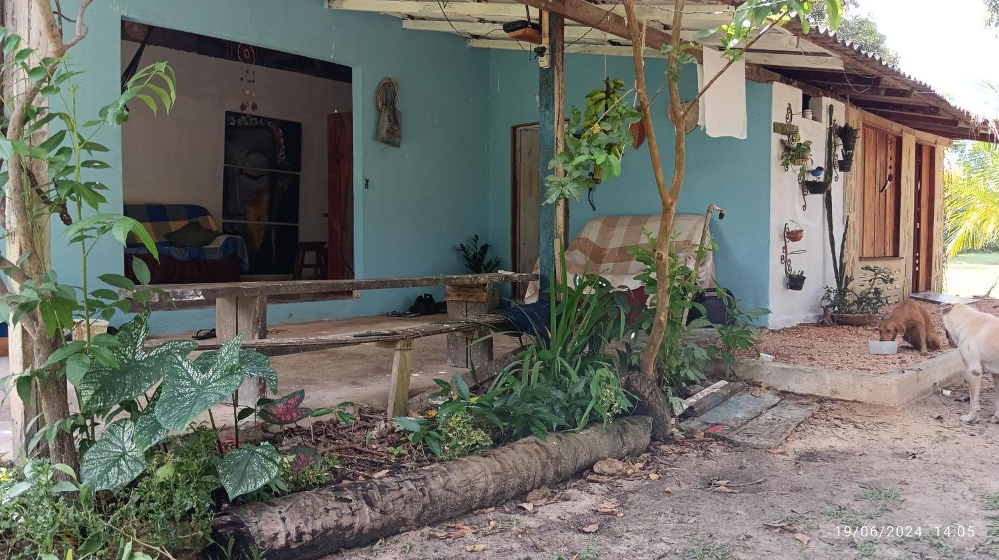 סורי Eco Hostel Lunar מראה חיצוני תמונה