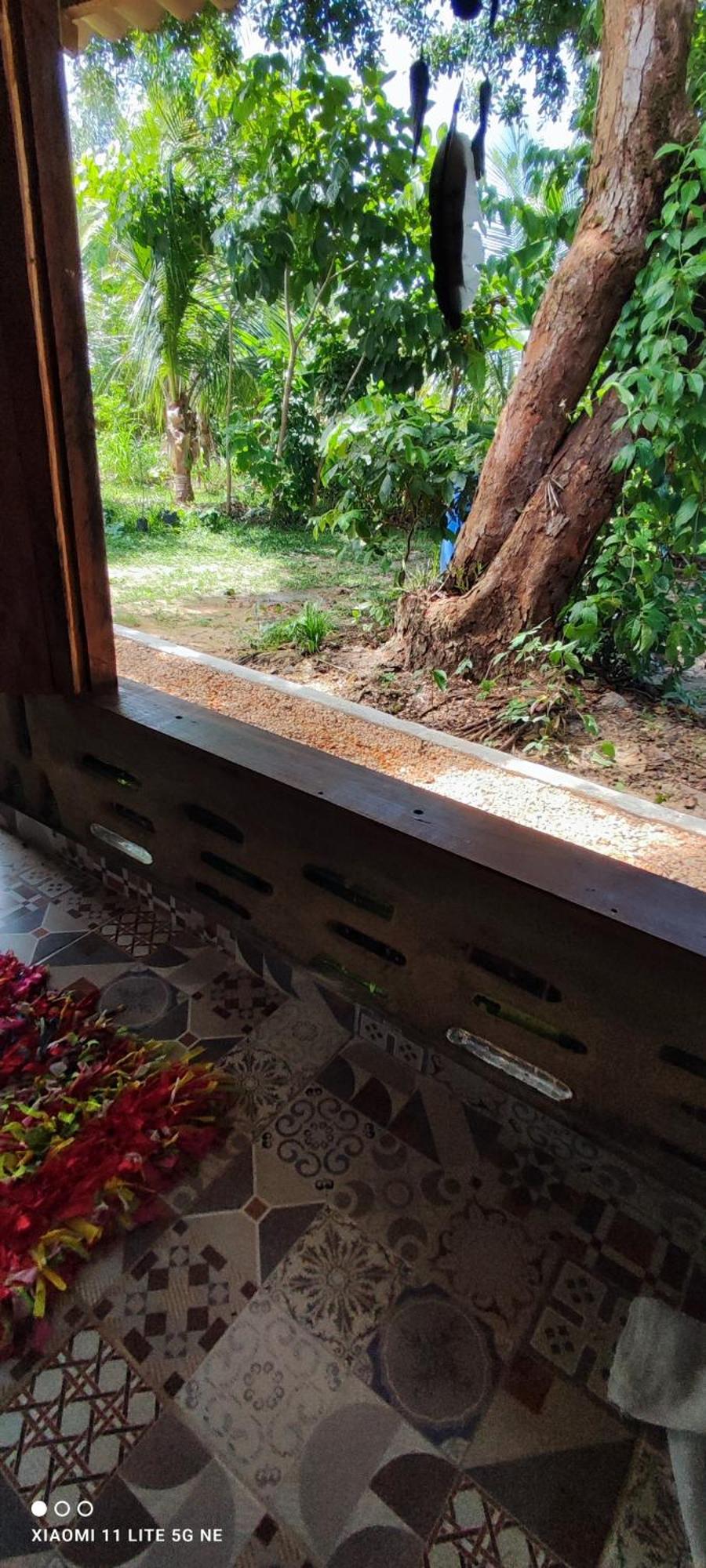 סורי Eco Hostel Lunar מראה חיצוני תמונה