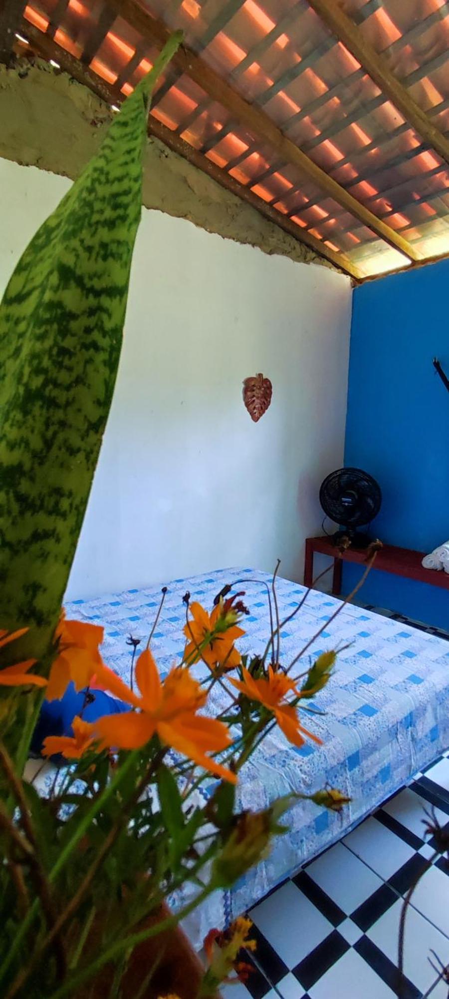 סורי Eco Hostel Lunar מראה חיצוני תמונה