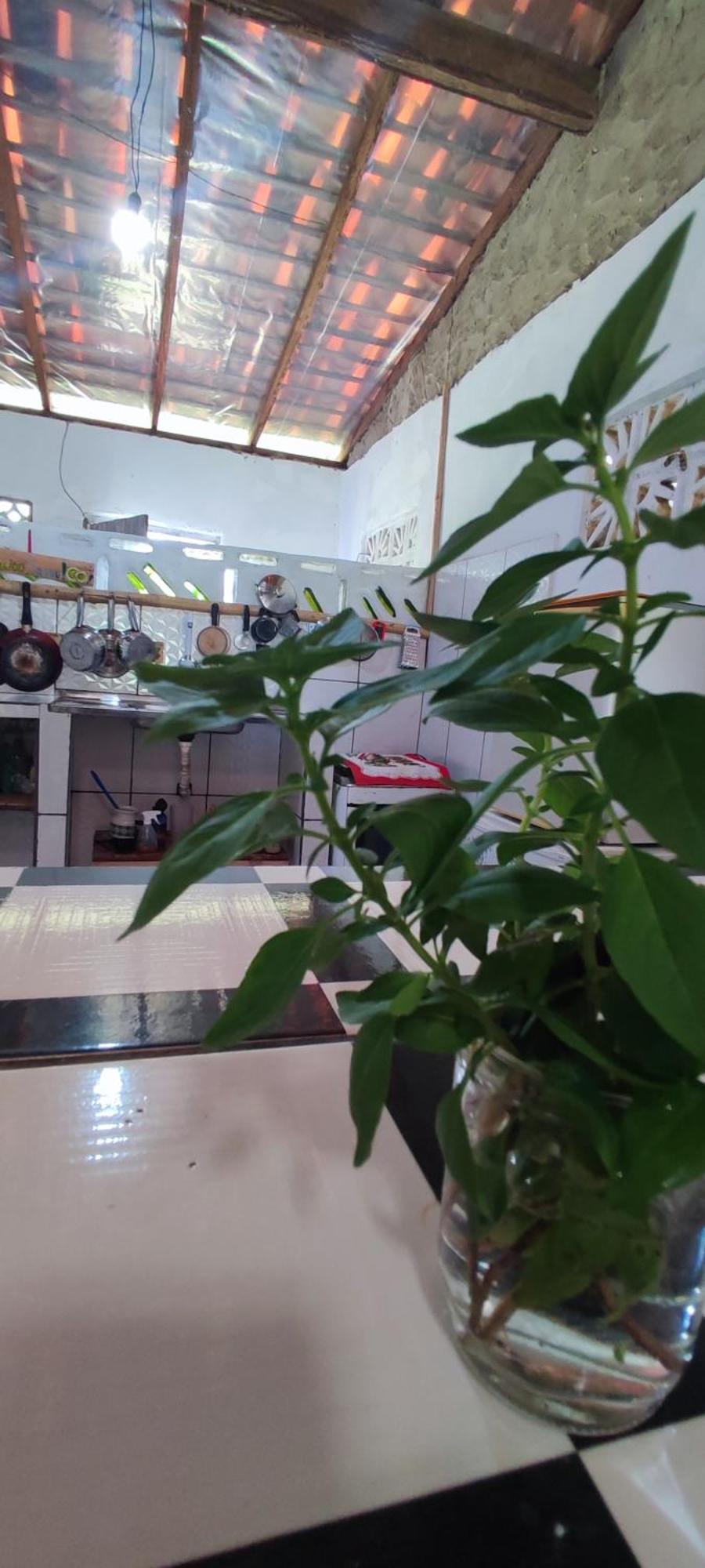 סורי Eco Hostel Lunar מראה חיצוני תמונה