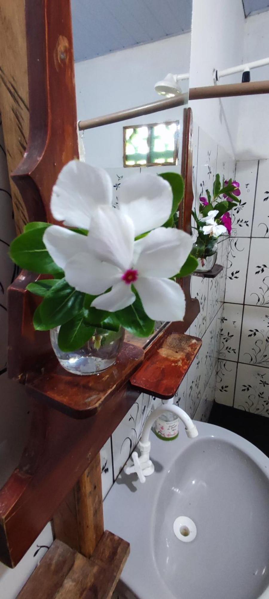 סורי Eco Hostel Lunar מראה חיצוני תמונה